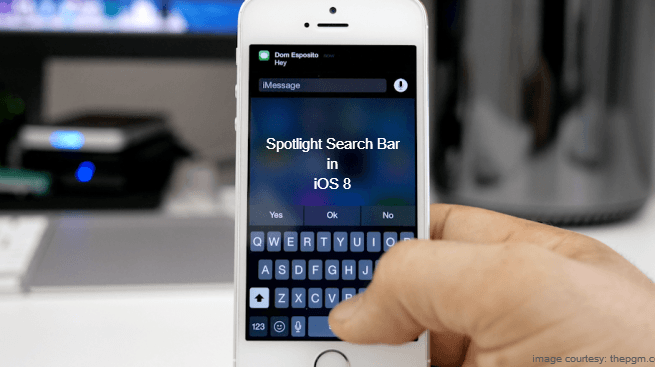 search bar