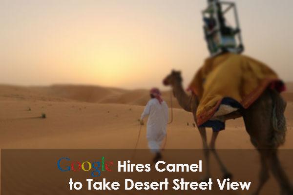 google camel