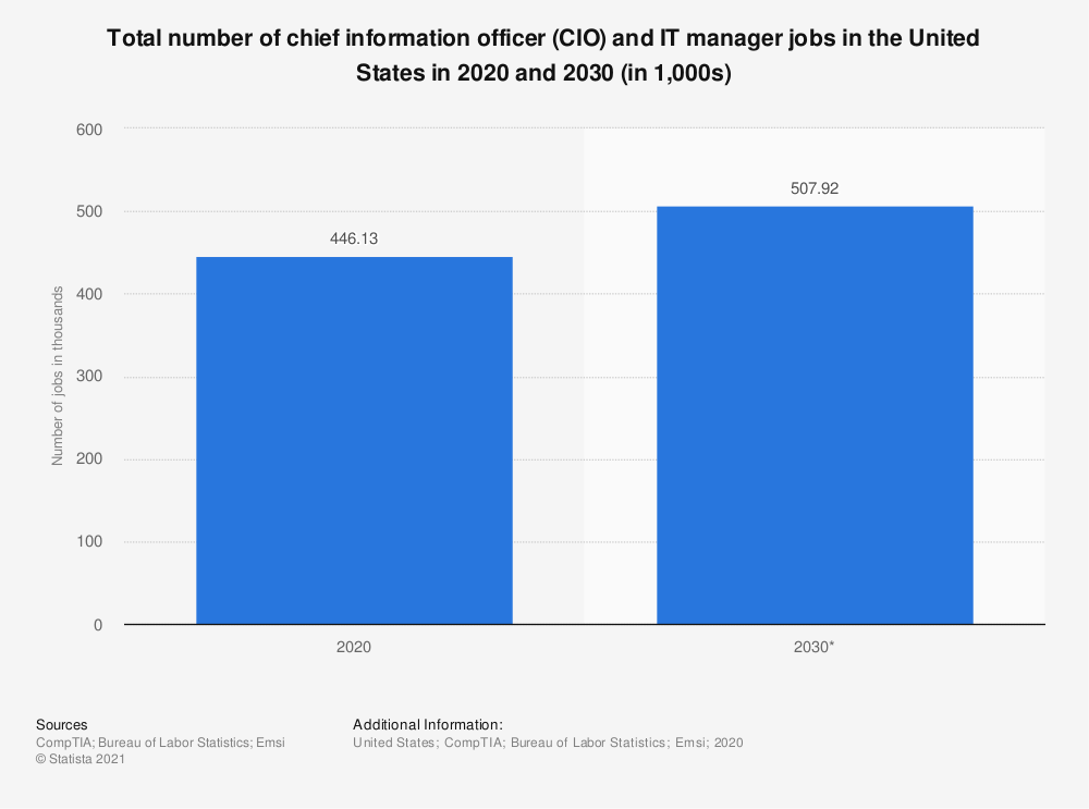  cio_and_it_manager_workforce 